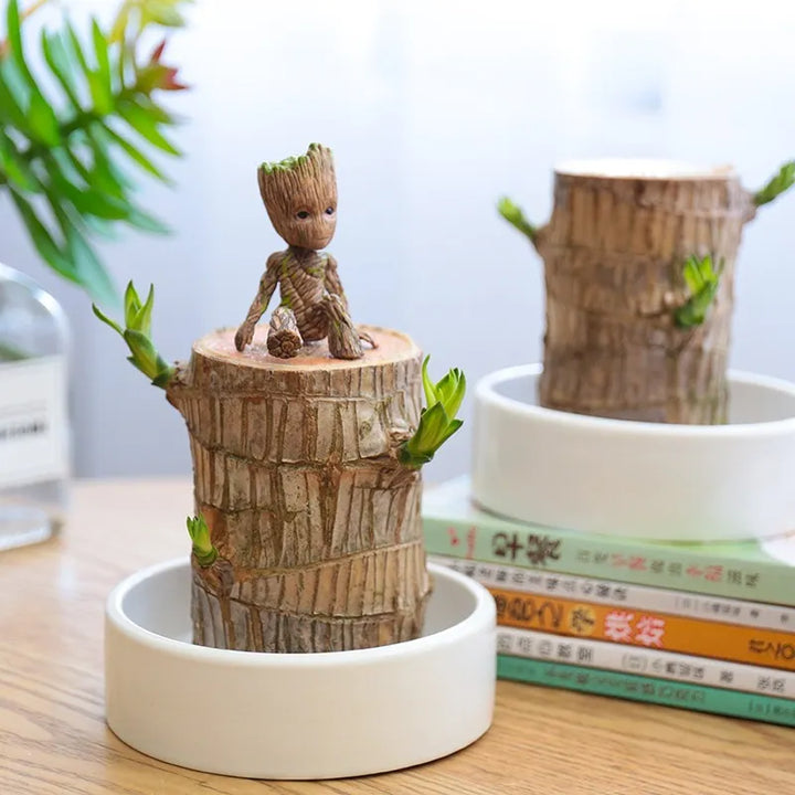FortuneForest™ – Terrarium Végétal