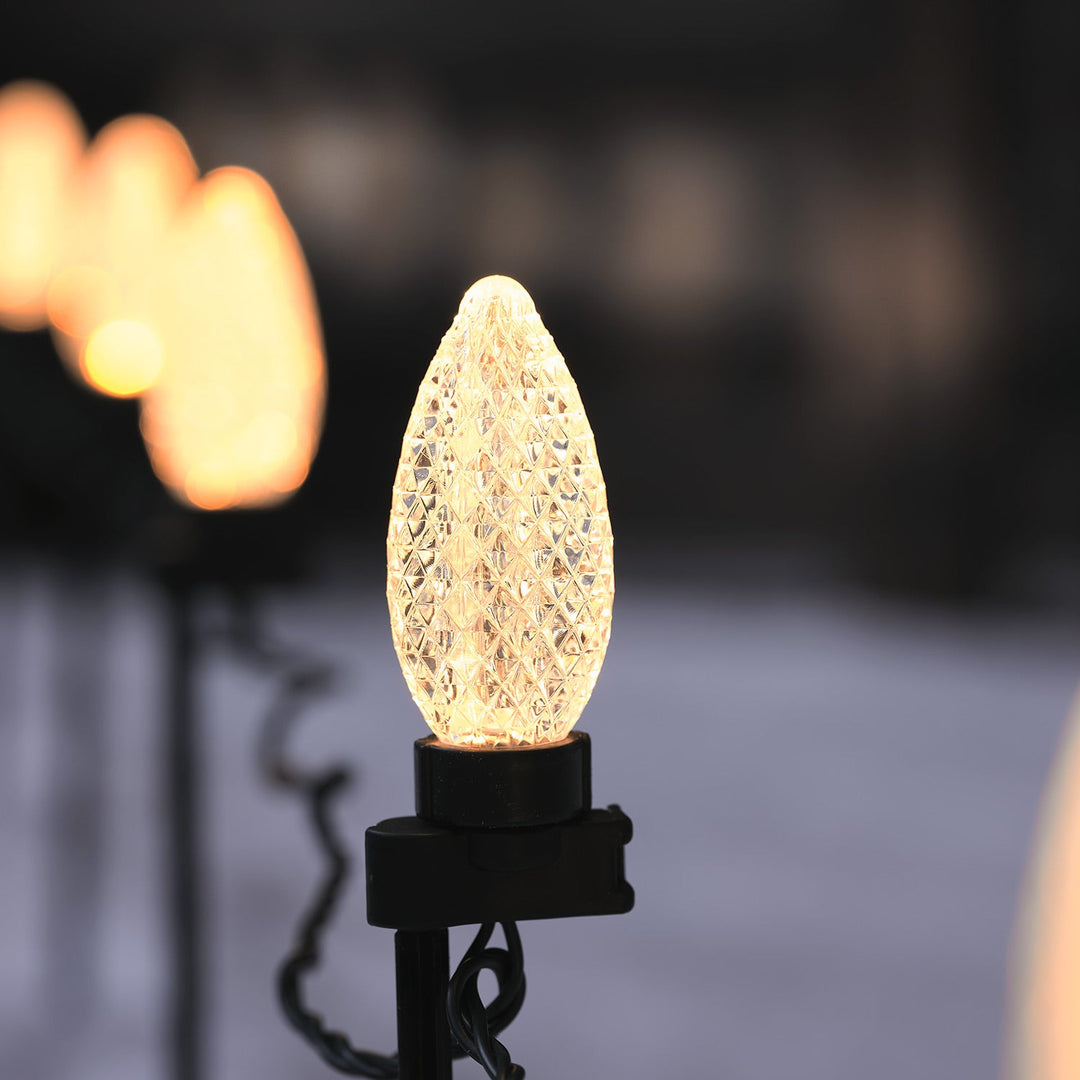 Lumière Boréale™ – Guirlande Jardin Style Pin avec Piquets