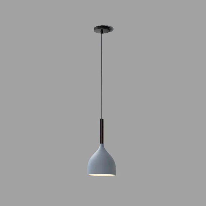 IronBake™ – Lampe Suspendue en Fer Peint et Cuit