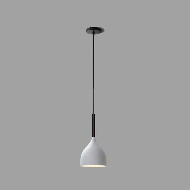 IronBake™ – Lampe Suspendue en Fer Peint et Cuit