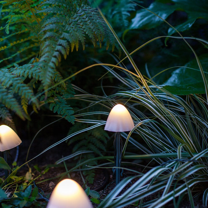 Set de 12 Mini Champignons Solaires d’Extérieur