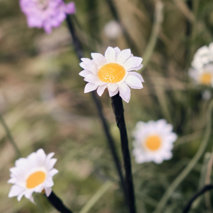 Balise de Jardin à LED – 30 Pâquerettes Solaires
