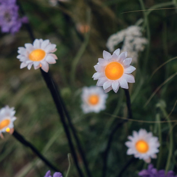 Balise de Jardin à LED – 30 Pâquerettes Solaires