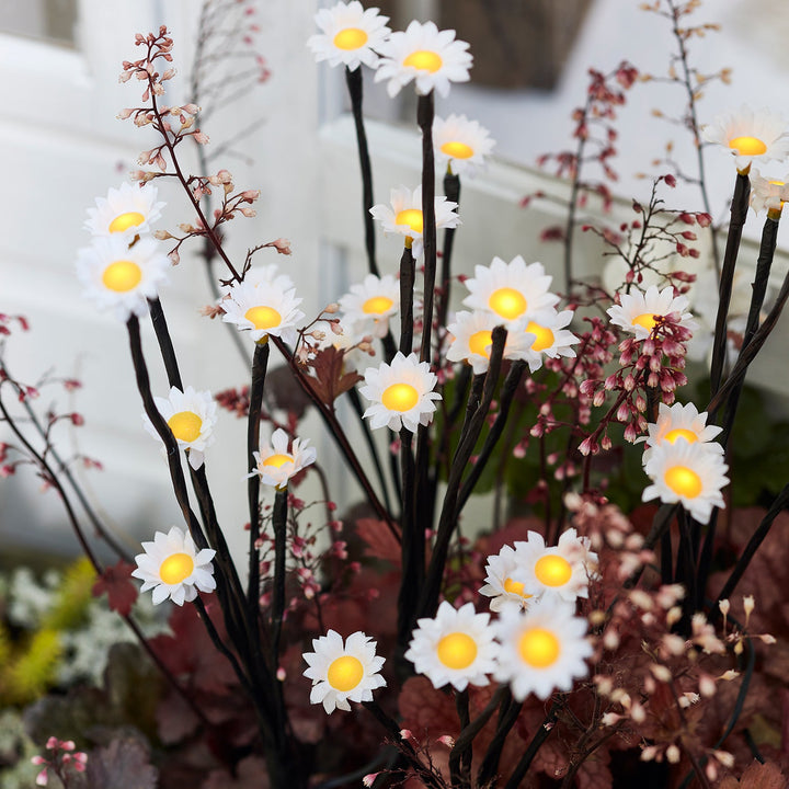 Balise de Jardin à LED – 30 Pâquerettes Solaires
