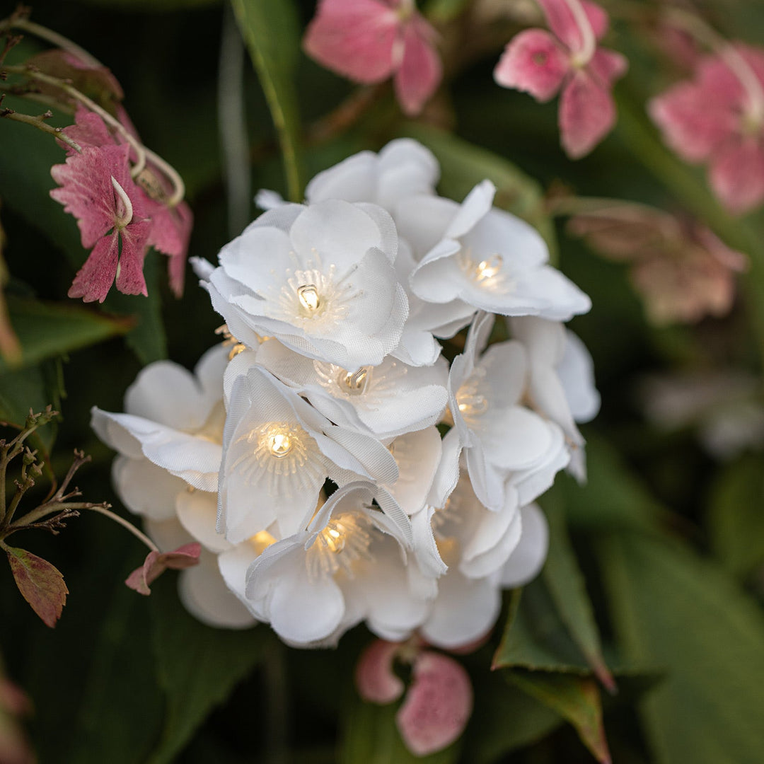 LumiFleurs™ – Guirlande Florale LED Solaire & USB