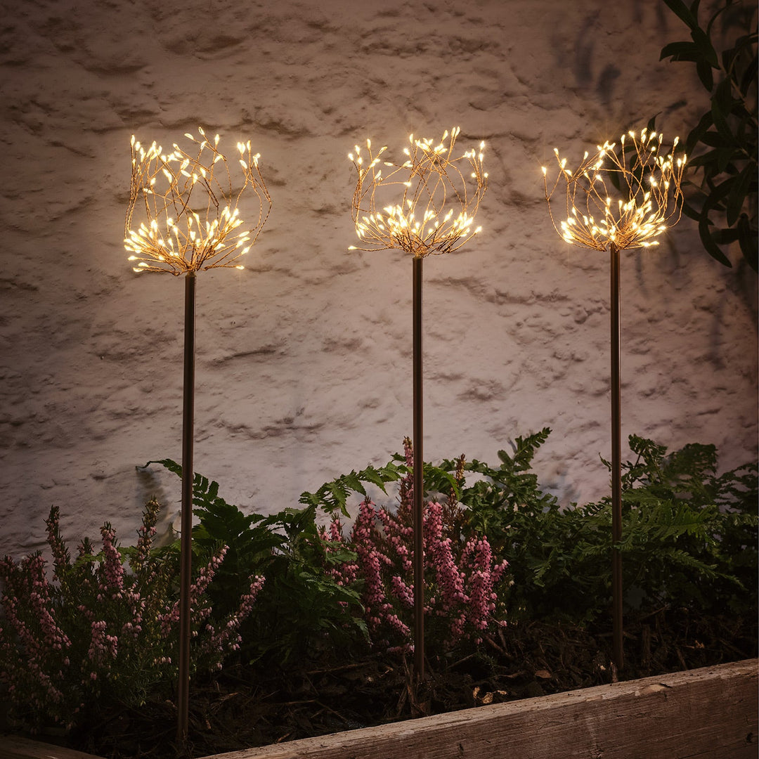 Trio de Balises Solaires Fleurs LED