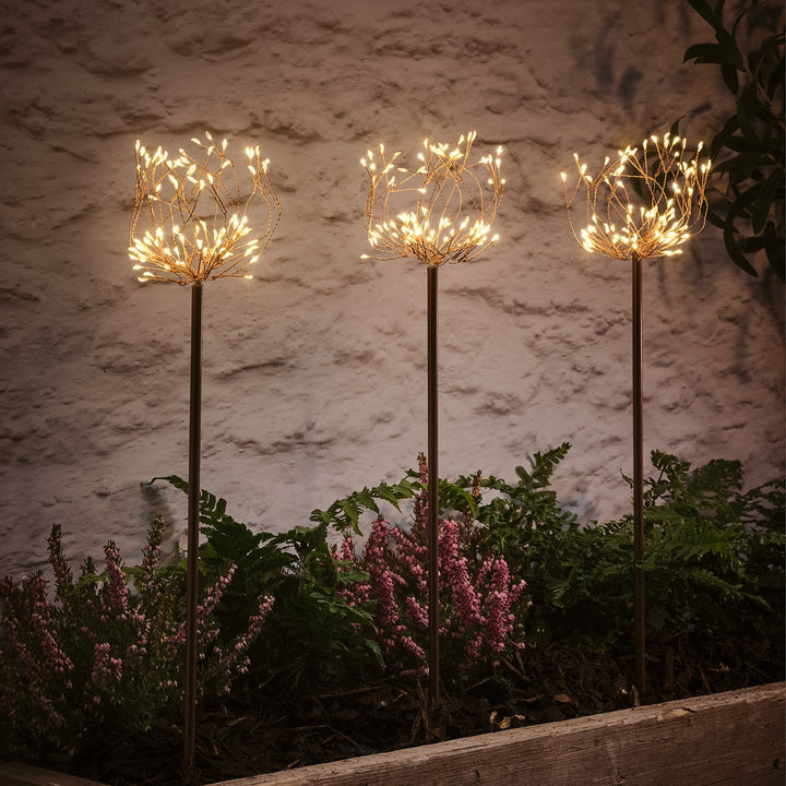 Trio de Balises Solaires Fleurs LED