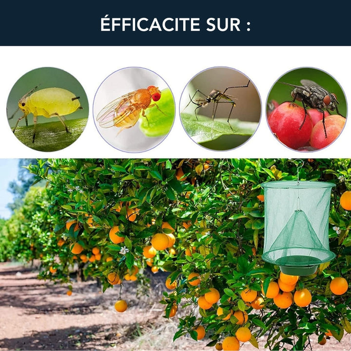 FlyGuard™ – Piège Anti-Mouches Ultra-Efficace