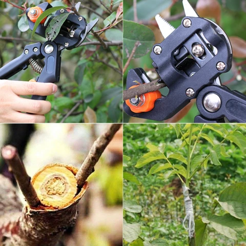 GraftMaster™ – Ciseaux de Greffage Professionnels
