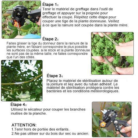 GraftMaster™ – Ciseaux de Greffage Professionnels
