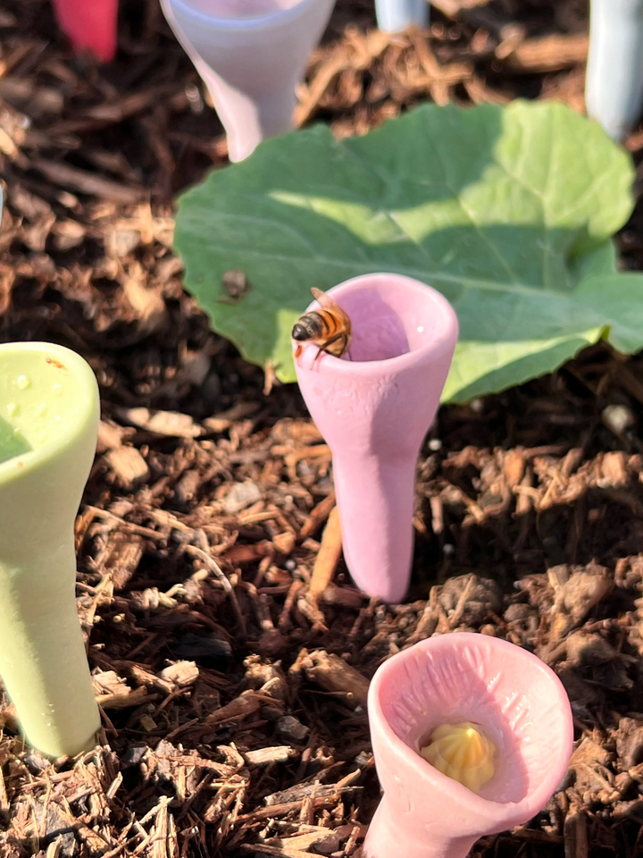 NatureBee™ – Gobelets Écologiques pour Sauver les Pollinisateurs