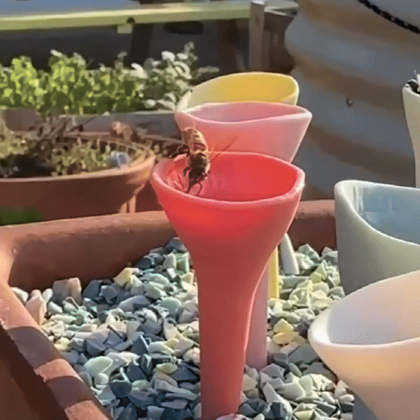 NatureBee™ – Gobelets Écologiques pour Sauver les Pollinisateurs
