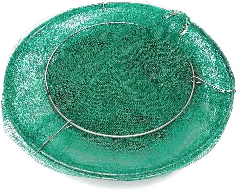 FlyGuard™ – Piège Anti-Mouches Ultra-Efficace