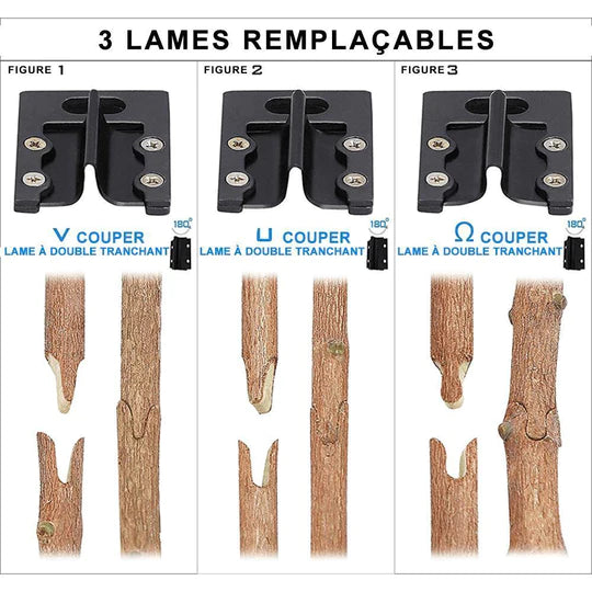 GraftMaster™ – Ciseaux de Greffage Professionnels