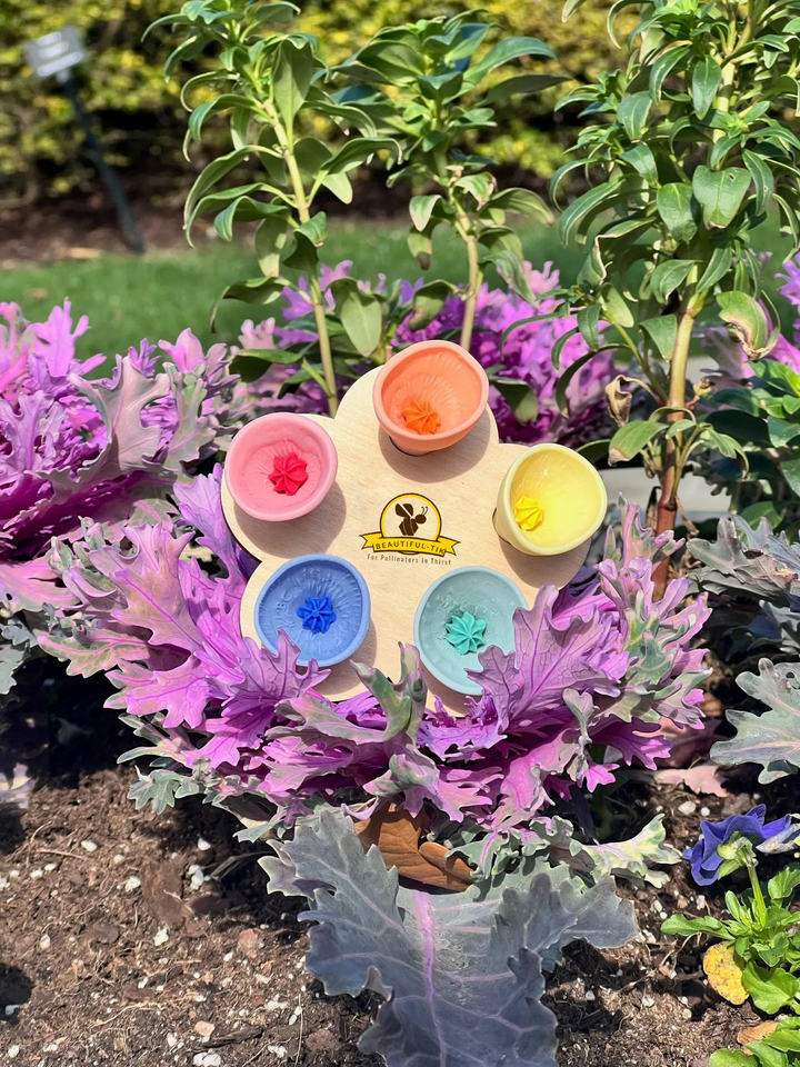 NatureBee™ – Gobelets Écologiques pour Sauver les Pollinisateurs