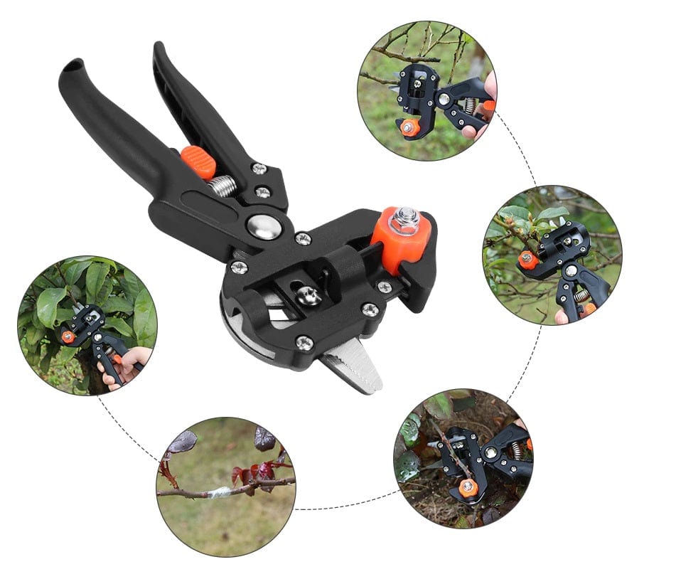 GraftMaster™ – Ciseaux de Greffage Professionnels