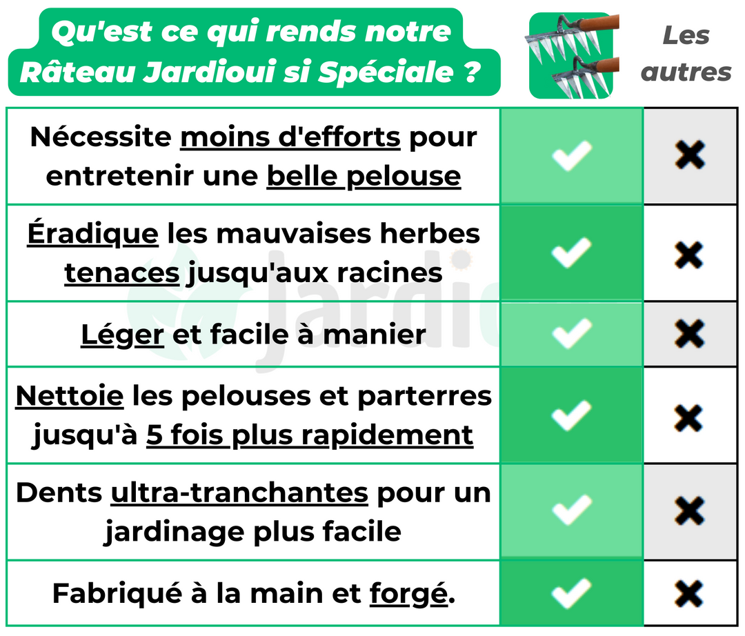 Star Shower™ – Arrosoir Solaire à Effet Cascade Lumineuse