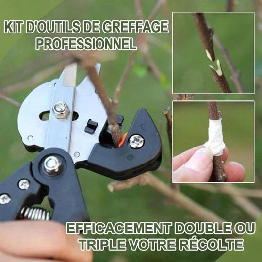 GraftMaster™ – Ciseaux de Greffage Professionnels