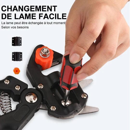 GraftMaster™ – Ciseaux de Greffage Professionnels