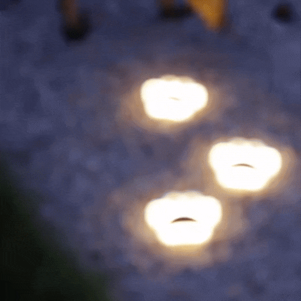 LumiPattes – Lampes Solaires Sans Fil pour Jardin