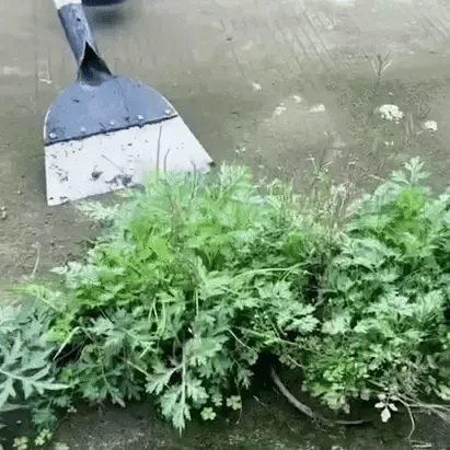 DurableDig™ – Pelle Jardin en Acier Inoxydable