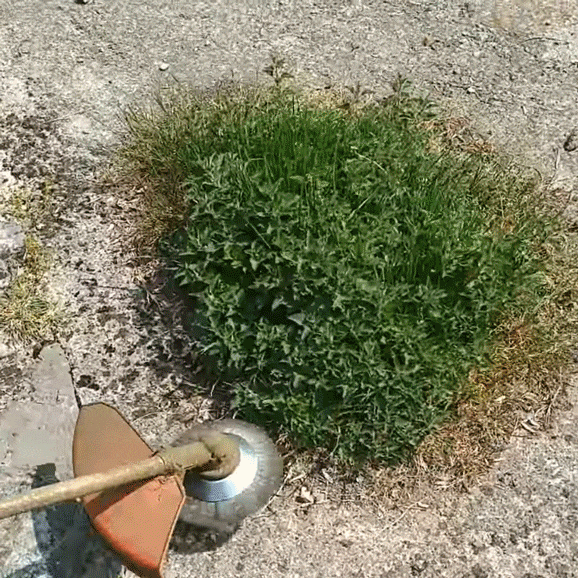 ToughTrim™ – Tête de coupe à brosse en acier